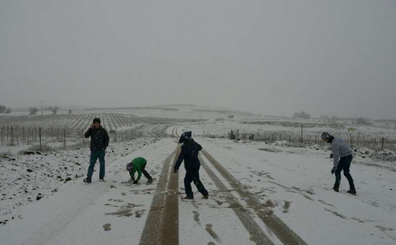 הכל לבן בצפון רמת הגולן // צילום: גיל אליהו, ג'יני